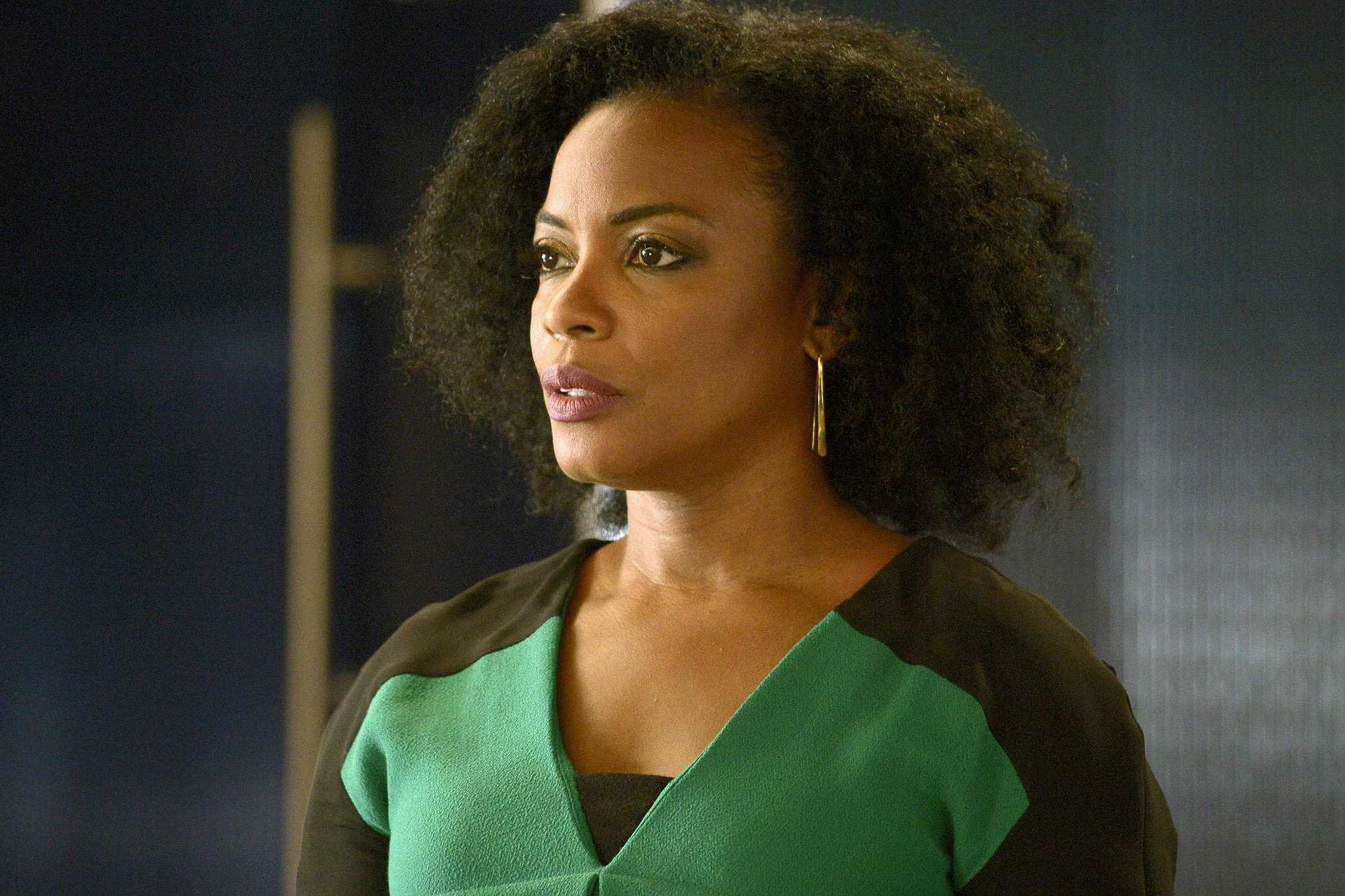 Aunjanue Ellis Height, Weight, Age, Wiki, Family & More 5 aunjanue ellis net worth
