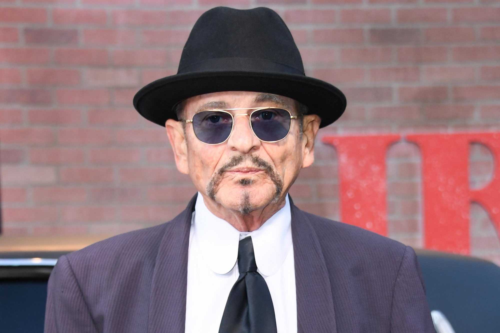 Joe Pesci Age, Movies, Net worth, Height ( Exclusive 2020 ) 2 Joe Pesci net worth
