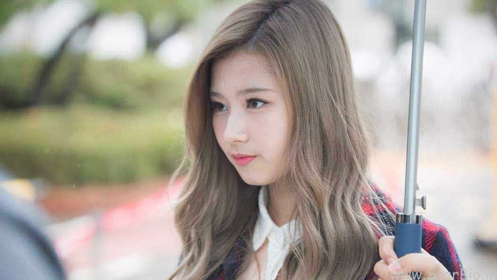 Minatozaki Sana Photo